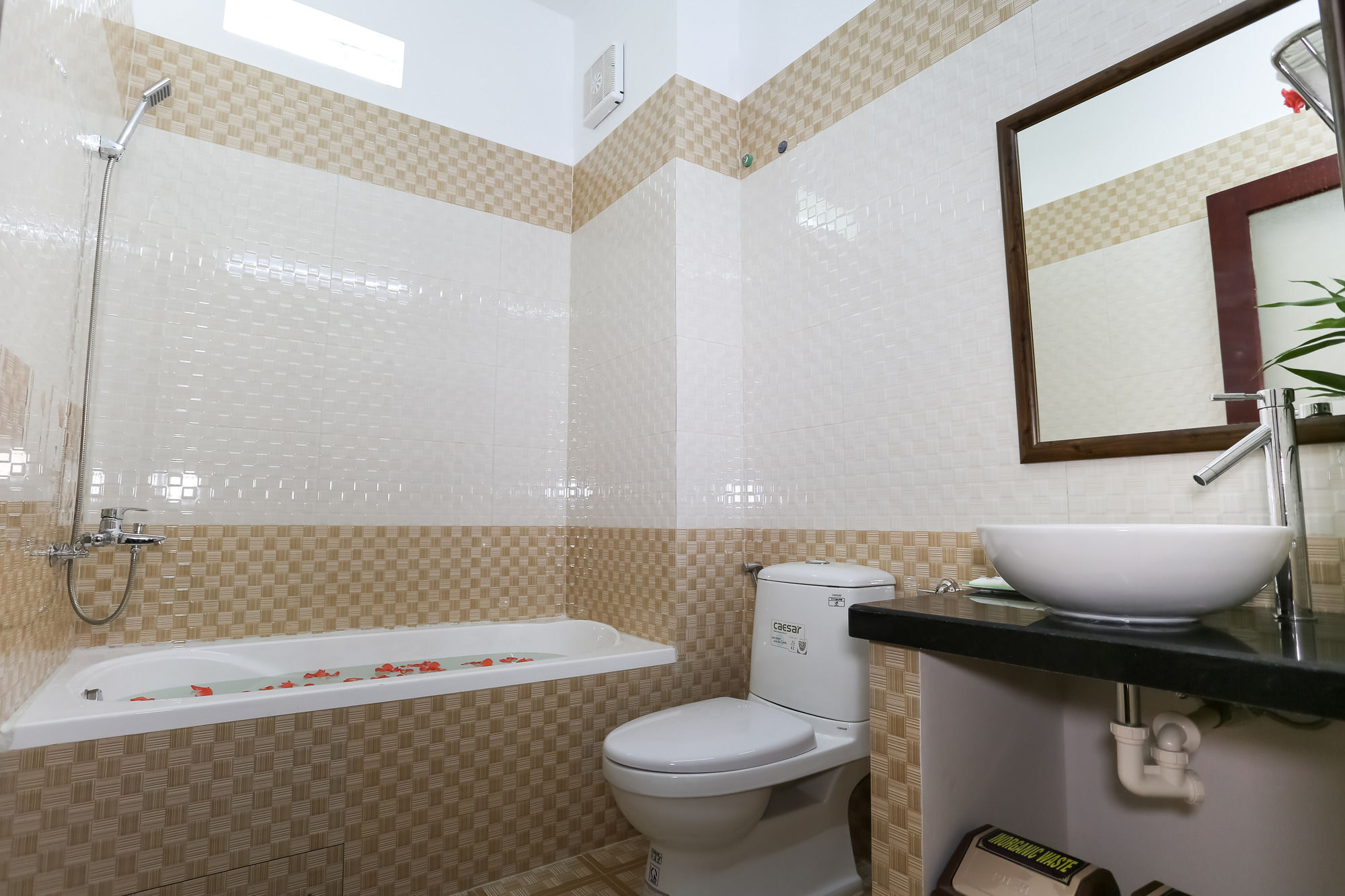 Phoenix Homestay Hoi An Bagian luar foto
