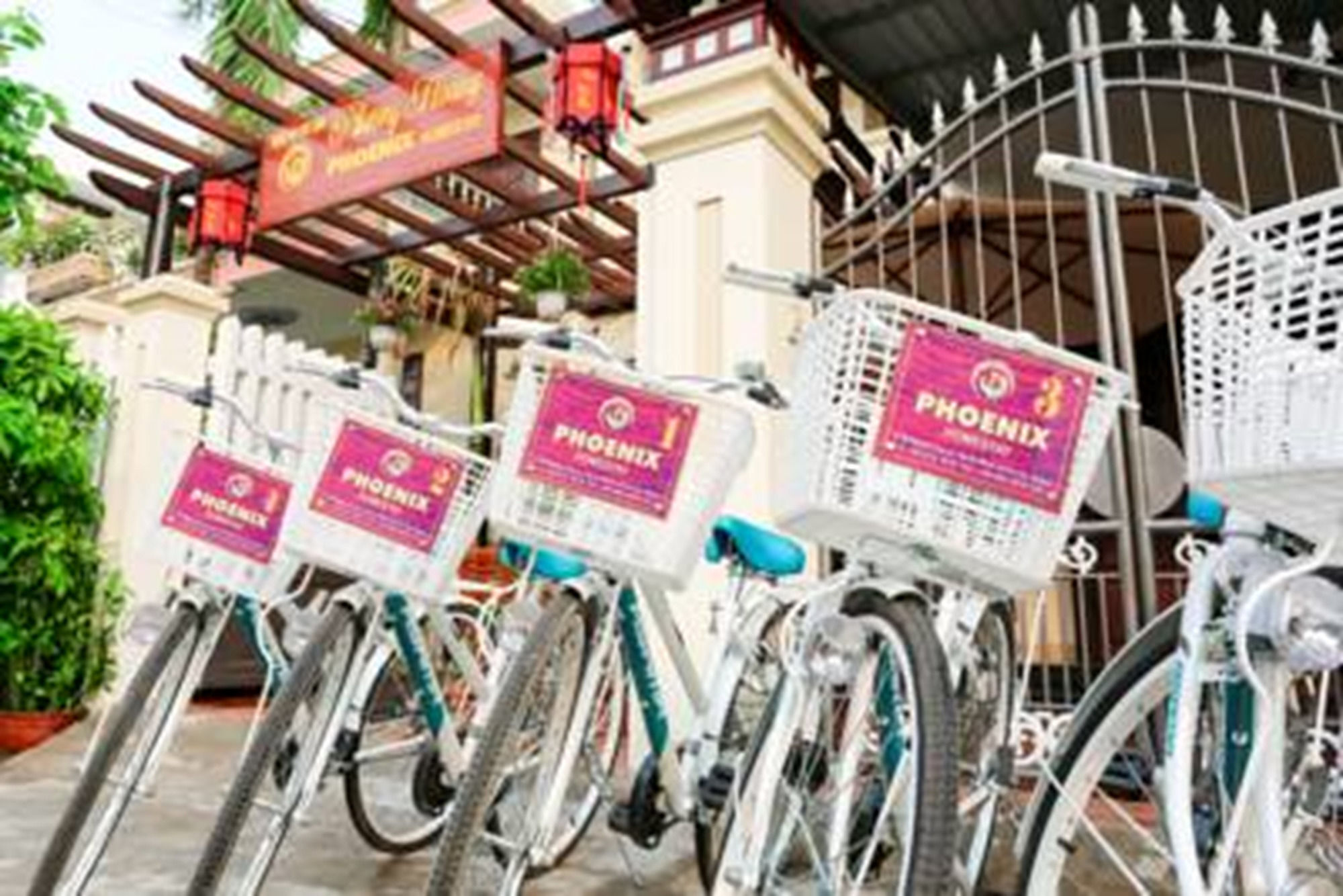 Phoenix Homestay Hoi An Bagian luar foto